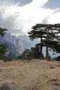 corse2009_46.jpg
